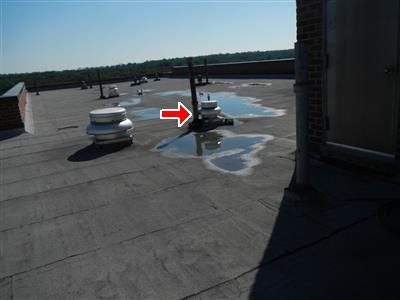 Flat tar roof with standing water pooled around roof vents, red arrow pointing at the ponding.