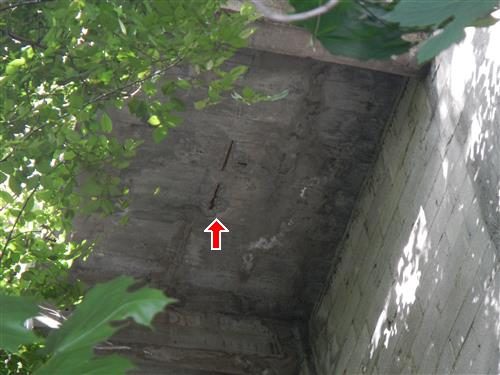 Underside of an elevated concrete walkway seen through tree leaves, red arrow pointing at exposed steel bars.