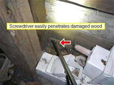 Screwdriver pushed into a porch floor joist next to a brick pier; report label reads Screwdriver easily penetrates damaged wood.