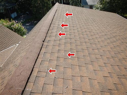 Brown asphalt shingle roof slope with five red arrows along a strip of worn shingles beside the ridge.