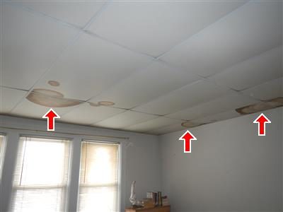 Bedroom ceiling tiles with three brown water stains, each marked by a red arrow.