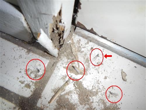 Damaged door frame base with dirt and four red circles around winged insects on the floor.