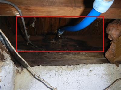 Dark basement rim joist area with a blue hose and wires, red box outlining stained and rotted wood.