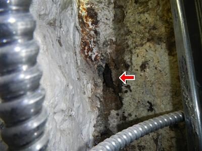 Rough stone foundation wall beside armoured cable with a red arrow pointing at a dark hole in the stonework.