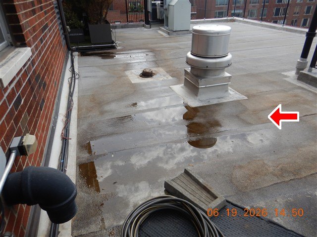 Flat roof with ponding water and stains around a mushroom-style vent fan, red arrow at right