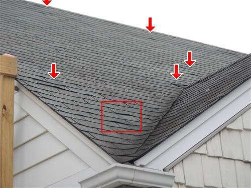 An asphalt shingle roof with curled and cracked shingles marked by red arrows and a box.
