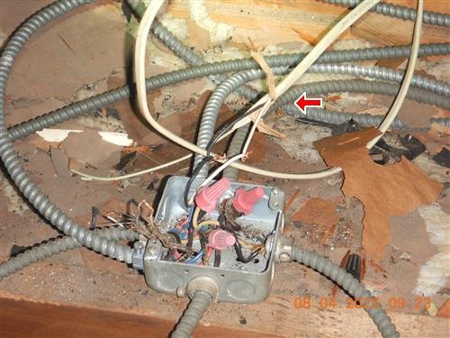 Uncovered metal junction box with wire connectors and armored cables among wood debris