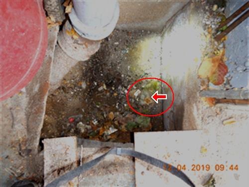 A slab floor drain with corrosion and debris circled in red on the inspection photograph.