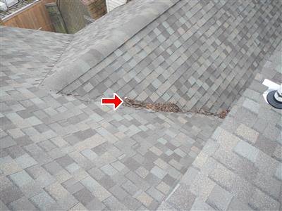 Roof valley between two shingle slopes with leaf debris collected, marked by a red arrow