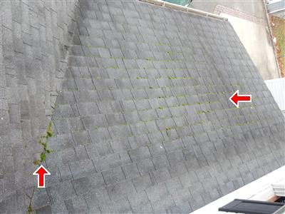 Grey shingle roof section with green moss along the seams, two red arrows marking it.