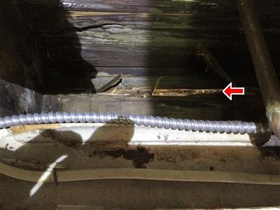 Rotted wood at a roof eave with an armored cable running through it, the damage arrowed.