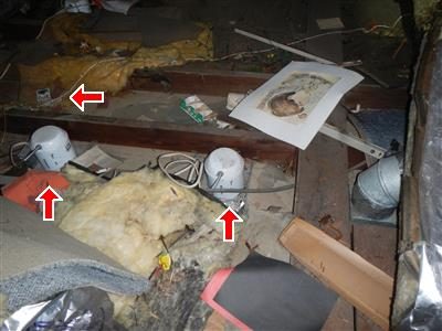 Attic floor with loose insulation and recessed light housings between joists, marked with four red arrows.