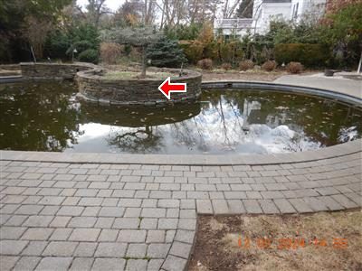In-ground pool with dark, dirty water and a stone-walled island in the middle, marked with a red arrow.
