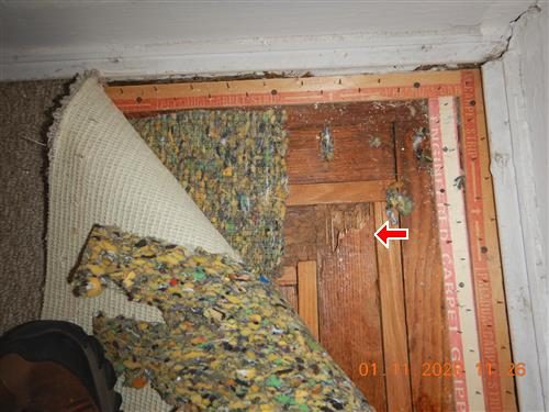 Carpet and padding pulled back to show damaged hardwood flooring in a corner, marked with a red arrow.