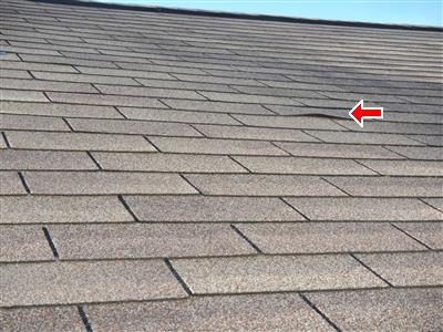 Brown asphalt shingle roof seen from above with a red arrow pointing at one lifted shingle tab.
